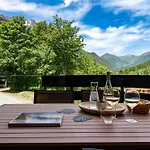 Silver Forest شامونكس